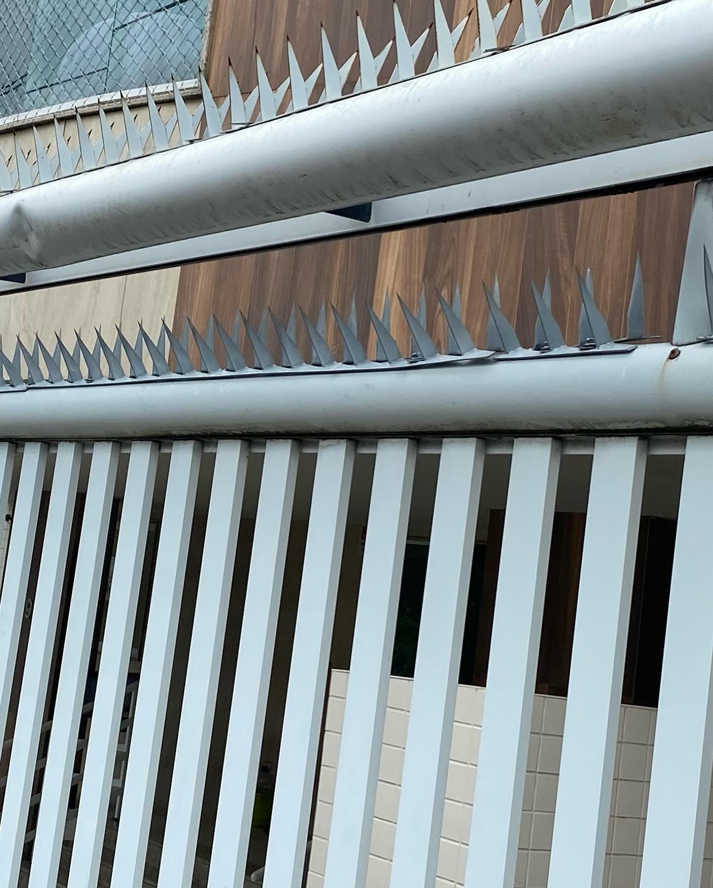 Detalhe da concertina